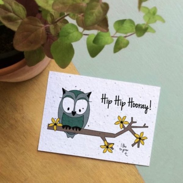 Fleurige Bloei Kaart: Owl Hooray