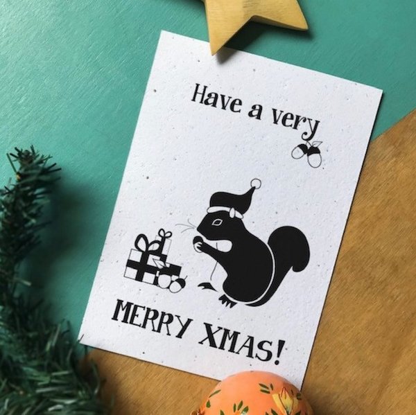 Enkele Bloeikaart: Merry Xmas/ Kerstkaart