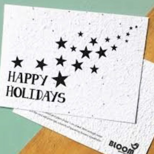 Enkele Bloei Kaart: Happy Holidays /Fijne Kerst Vakantie